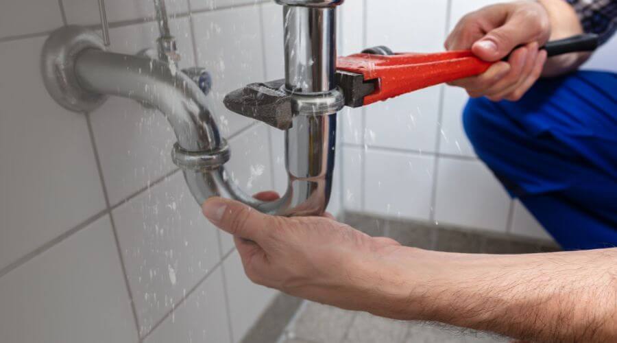 Professional Leak Detection services in Mauk, GA